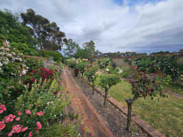 WHERE DREAMS ARE MADE - 2816MF