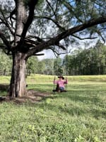 MODERN HOMESTEAD & ACREAGE, ECO-TOURISM APPROVED - 1072CPF