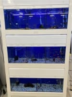 Northam's Only Pet Store For Sale