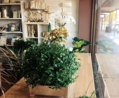 FLORIST  GIFTS  PLANTS & POTS - ONLY ONE IN BEACONSFIELD -