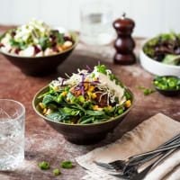 SpudBar Collins 5 Days Business for Sale SV1592