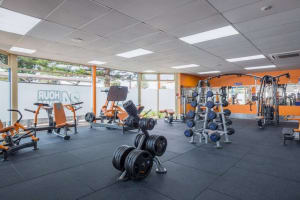24 Hour Gym Franchise Opportunity - Adelaide