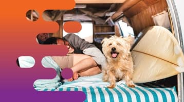 35537 Profitable Campervan & Car Rental Business - Ready for New Ownership