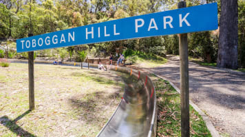 Toboggan Hill Park, Nelson Bay