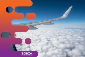 37008 Established Online Travel Business with Loyal Members