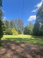 Vnydlgiamczlg00tulvh