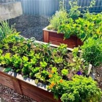 Leading Organic Gardening Business in Perth/Neerabup, WA