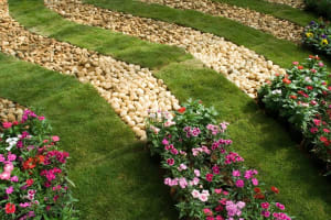 Importer & Wholesaler of Pebbles And Decorative Stone