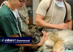 Vsv5piuhg8zswtjxtctk