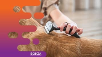 Vt3btieahrsc8vrnho9t