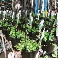 Vtbljk6jyrktvoj4vu8v