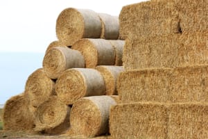 UNDER OFFER - UNDER CONTRACT