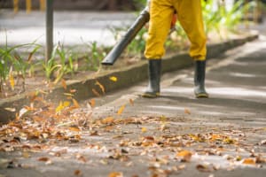 UNDER OFFER - A++ LAWN AND GARDEN MAINTENANCE – NET 900K PA!