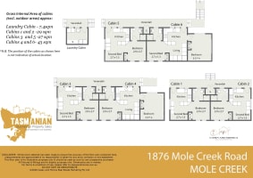 FHGC Tasmanian Accommodation A1 Presentation Spectacular Views 10%ROI 6 Cabins 2 Houses 2 Titles