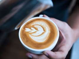 Highly Profitable North Shore Café  Loyal Customers & Prime Location