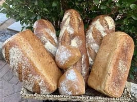 Well-Established Family-Owned Bakery - SOR