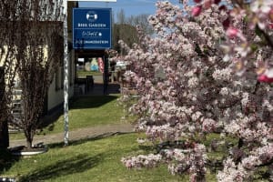 Step into history – and own the heart of Dalton