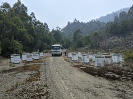 Asset-Based Small Scale Commercial Beekeeping Opportunity for Sale