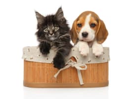 W6rqavqalwnvblggev7f