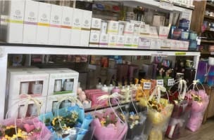 Established Greater Brisbane News agency and Gift Shop