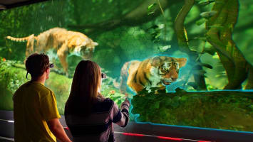 Welcome to the Future of Entertainment: The Hologram Zoo – Adelaide, VIC