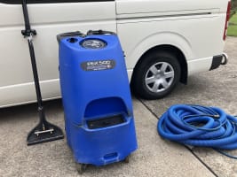 Profitable Certified Organic Carpet Cleaning Business Sydney Mobile Service