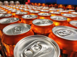 Largest and most dominant fast-moving consumer goods (FMCG) wholesalers and distributors #410