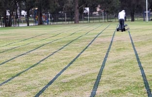 Sports Field Line Marking Business for Sale – Perth, Western Australia
