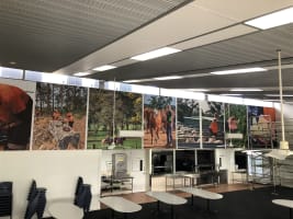 Signage and Print Business opportunity in the regional Cranbrook, W.A.