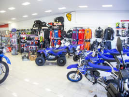 Huge Cash Cow - Motorcycles & Power products.