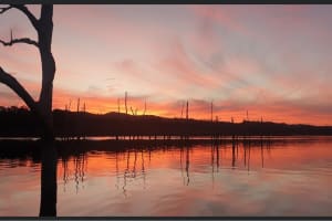 Cudgegong Waters Park – Established Lakeside Holiday Park with Diverse Income Streams