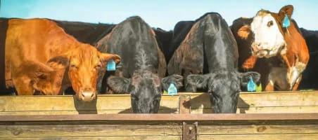 Wjyzzyaldnxene19x2ur