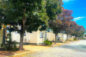 LEASEHOLD - BIG 4 Cabin Park Hay, NSW - 1P0183