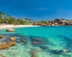 Wmorsqo40ssaelzinsrh