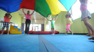 Wndd7wrtp7arah8iqvj6