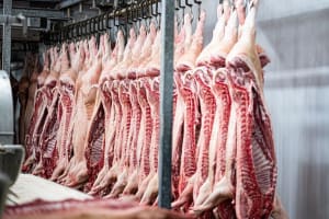 Gold Coast Large-Format Butchery & Food Service Business with Retail Shop For Sale