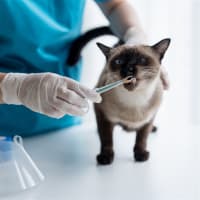 National Sales Agency Business (Vet Clinic Related)