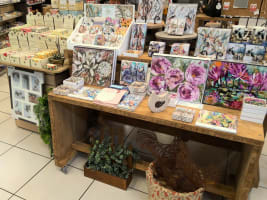 Woxyovw8kvsdz91btmos