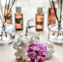 Wpyoaxkx8beycpwivcnk