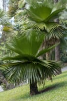 Daintree Rainforest Luxe Eco Lodge For Sale