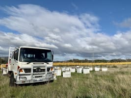 Asset-Based Small Scale Commercial Beekeeping Opportunity for Sale