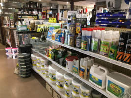 Thriving Business in the Golden Triangle