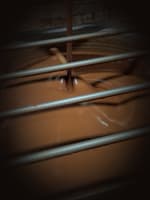 Luxury Chocolate Brand for Sale – Profitable, Staff-Run & Fully Equipped