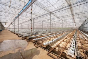 Hydroponic Vegetable Crop Farm - Land, Buildings & Machinery