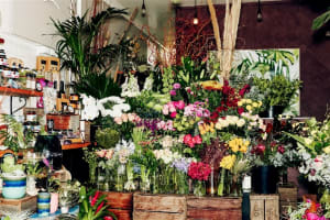'A BUNCH OF CAKES'.  WELL KNOWN CAKE & FLORIST SHOP. CENTRAL SPOTSWOOD