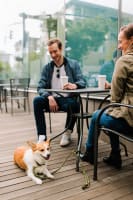Highly Versatile Cafe/Restaurant *LOW RENT* in well Positioned Suburb [2410304]