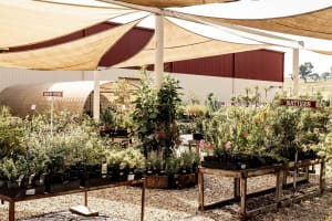 Corryong Building Supplies