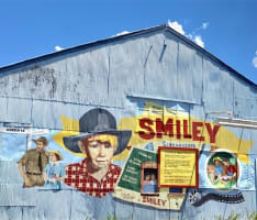 Thriving Outback Cafe & Gift Shop (+ Freehold Building*)