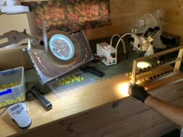 Asset-Based Small Scale Commercial Beekeeping Opportunity for Sale