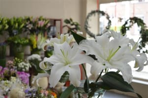 Established Florist Business For Sale, Malvern East